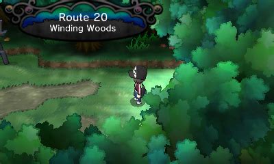 pokemon village xy|winding woods pokemon x.